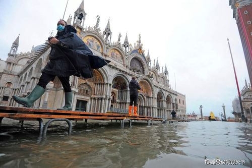 威尼斯暴雨游戏（威尼斯淹没）